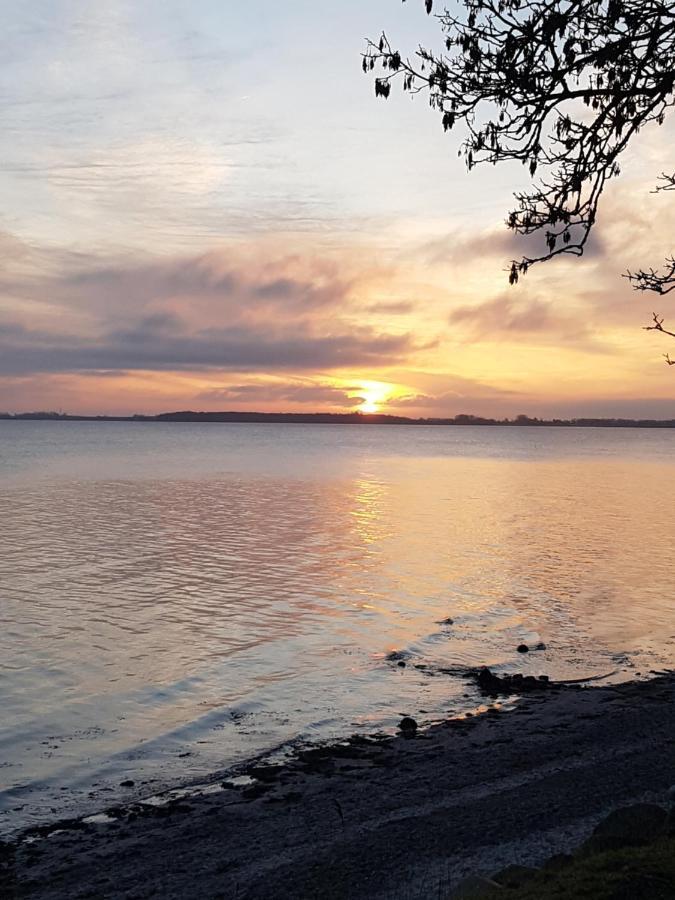 Strandappartement Steinberghaff "Farborg" Mit Meerblick Steinberg  Exteriör bild