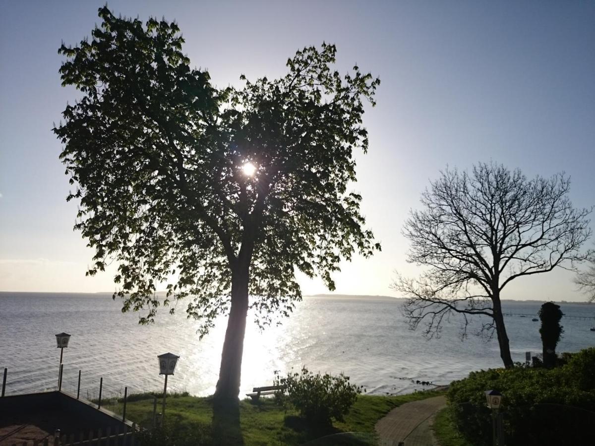 Strandappartement Steinberghaff "Farborg" Mit Meerblick Steinberg  Exteriör bild